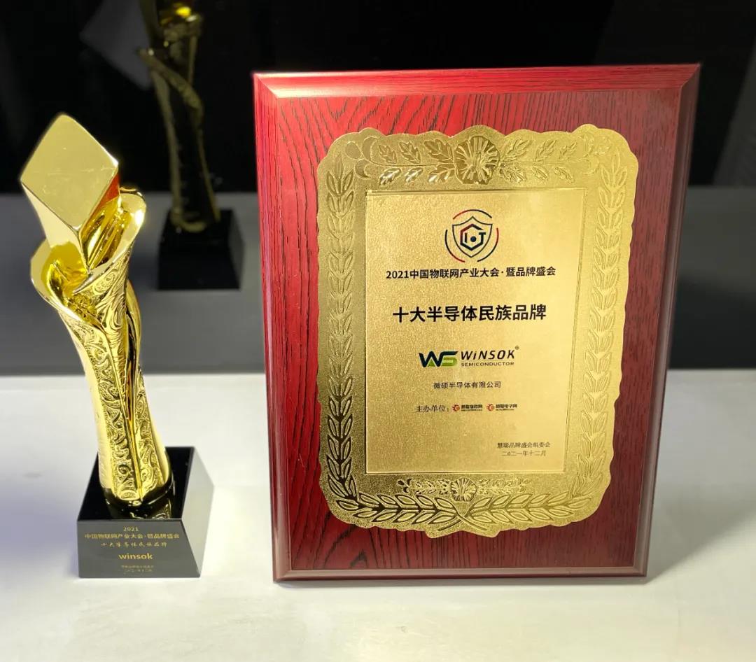 “十大半导体民族品牌”获奖证书及奖杯